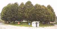 Place